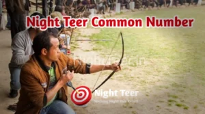 Night Teer Common Number